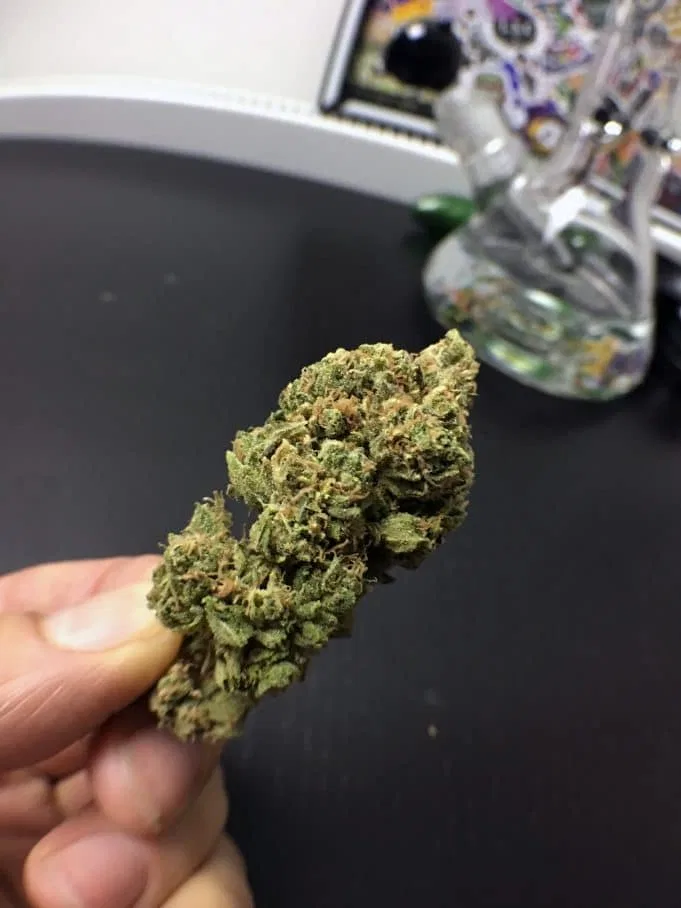 Skywalker OG cannabis flower from the original UK review archive.