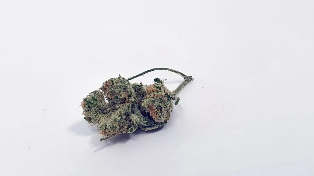 Slurricane cannabis flower from the original UK review archive.