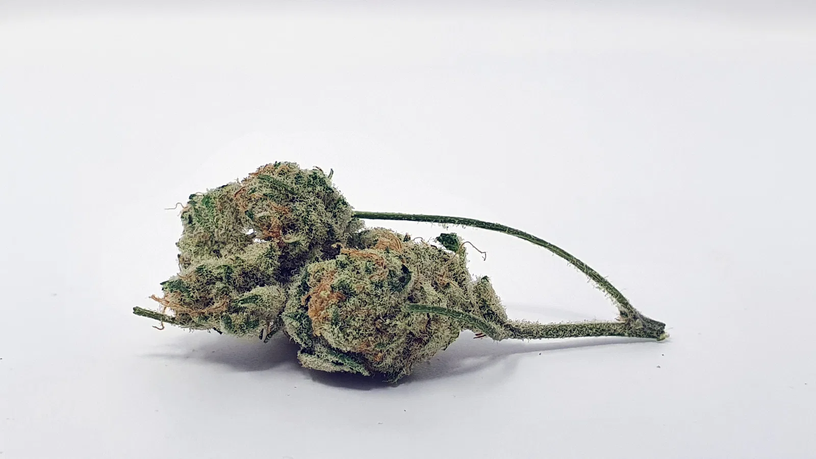 Slurricane cannabis flower from the original UK review archive.