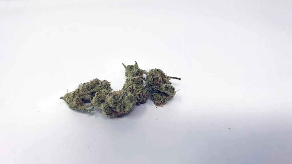Slurricane cannabis flower from the original UK review archive.
