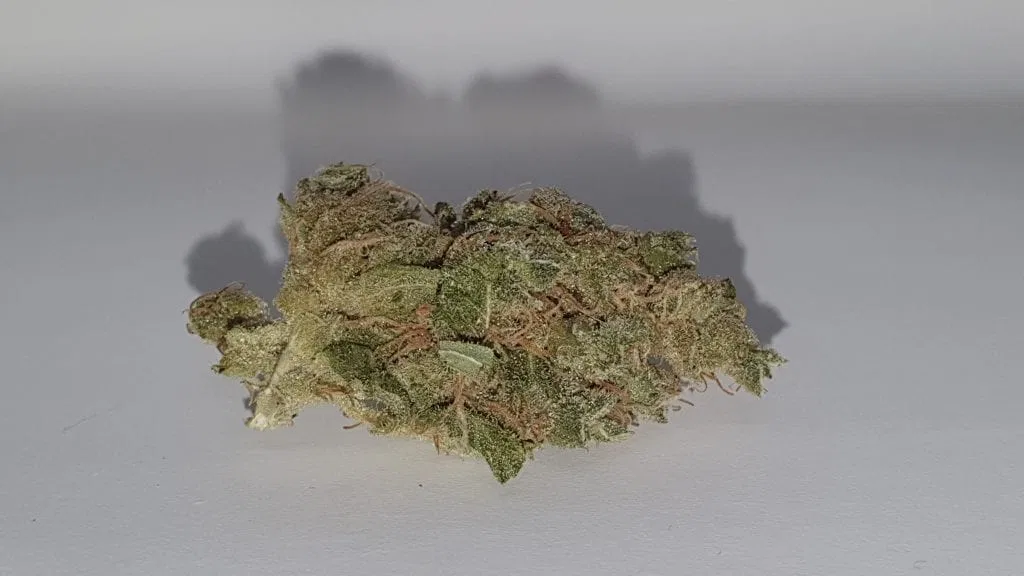 SmellyBerry cannabis flower from the original UK review archive.