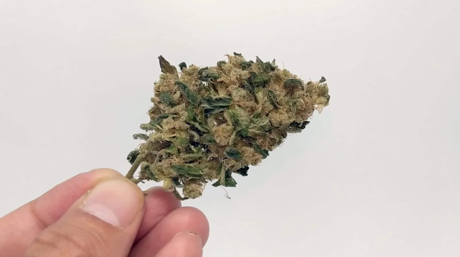 Sour Banana Sherbet