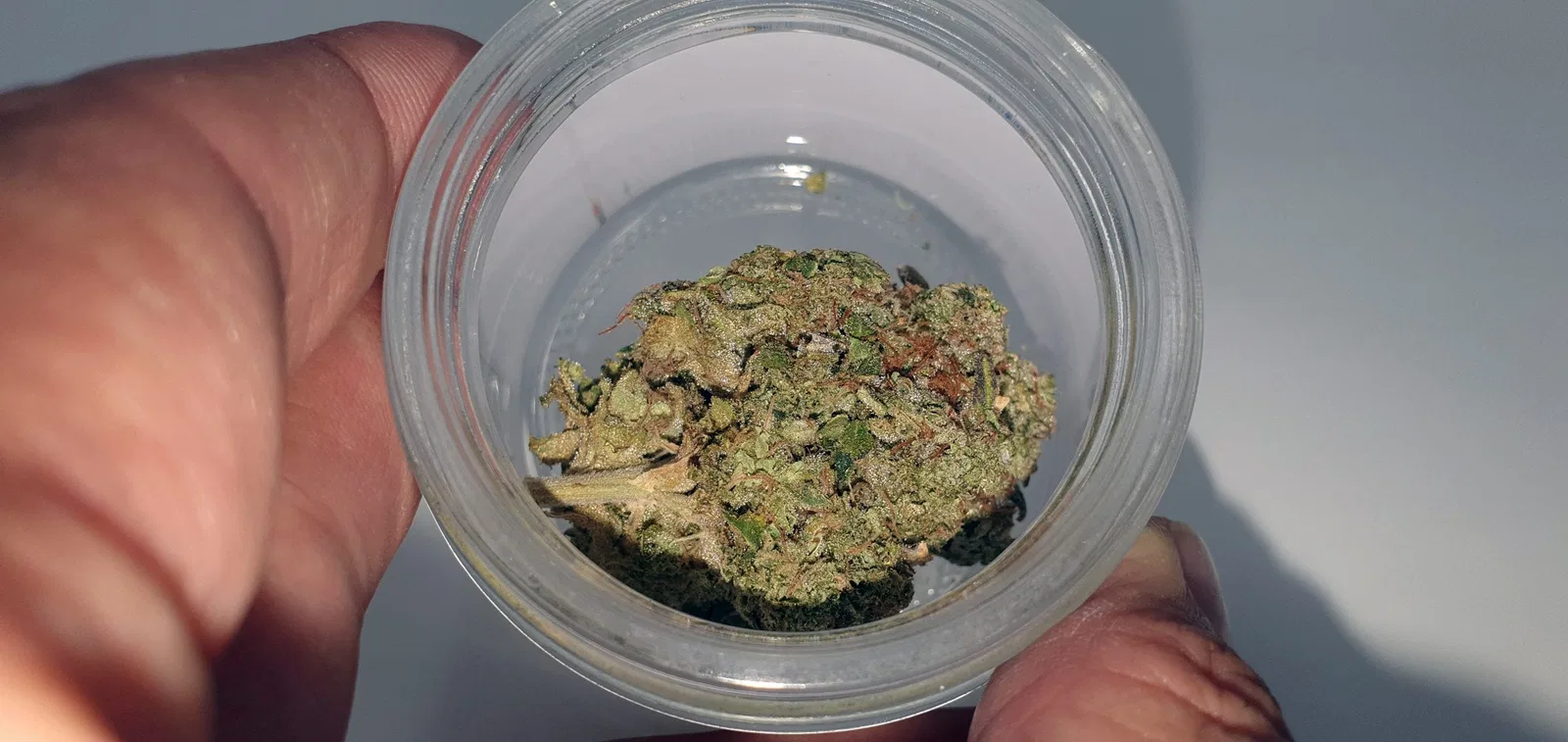 Sour Diesel Bx2 cannabis flower from the original UK review archive.