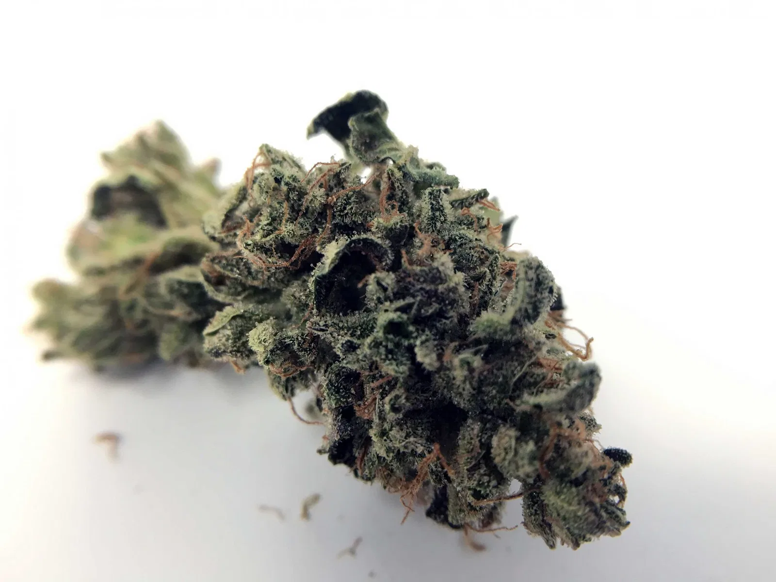 Sour Diesel Haze cannabis flower from the original UK review archive.