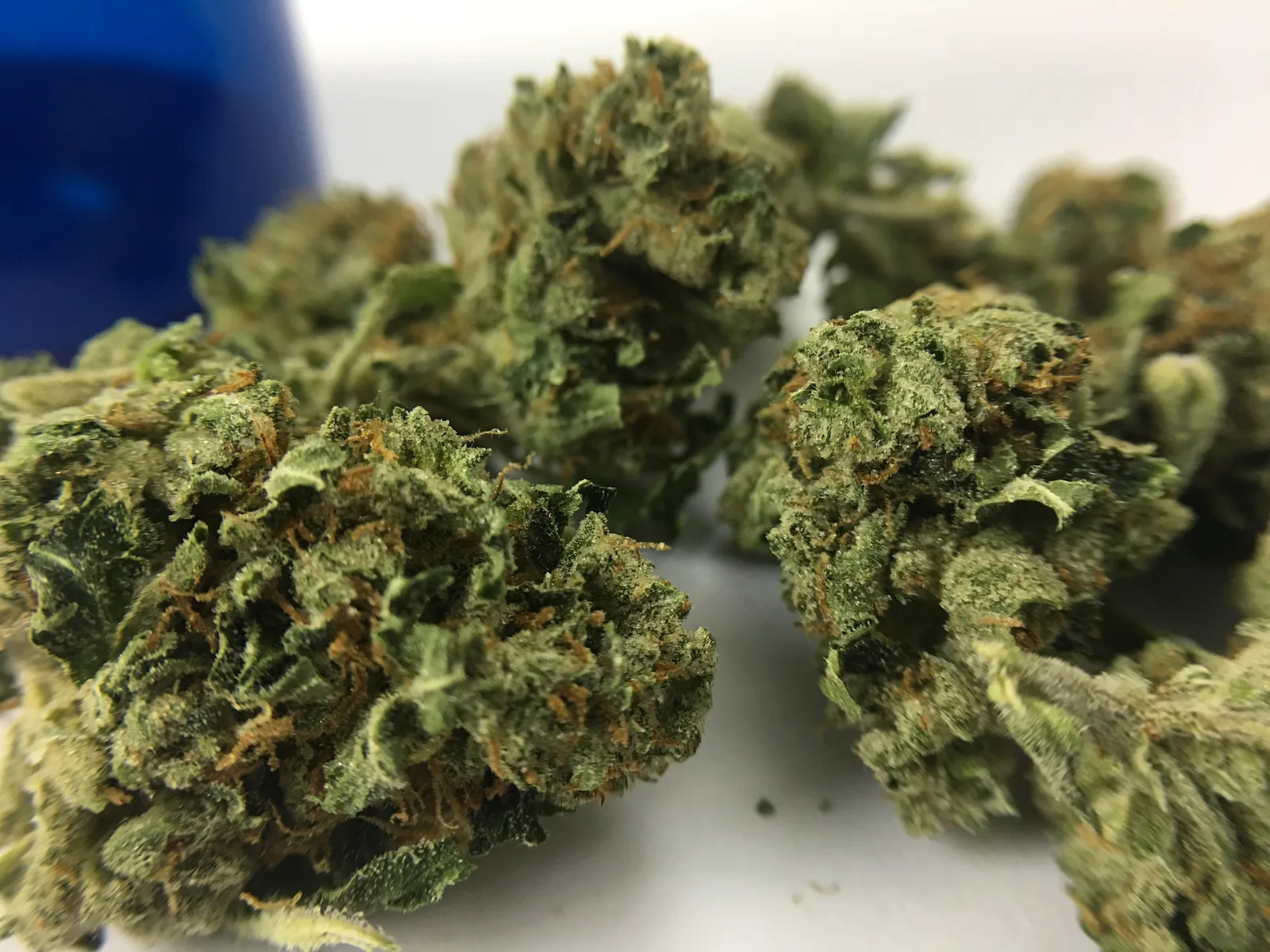 Sour Diesel