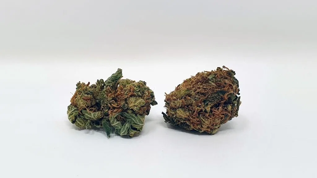 Sour Headstash cannabis flower, shown as a similar-cultivar reference for Permanent Marker; not Permanent Marker