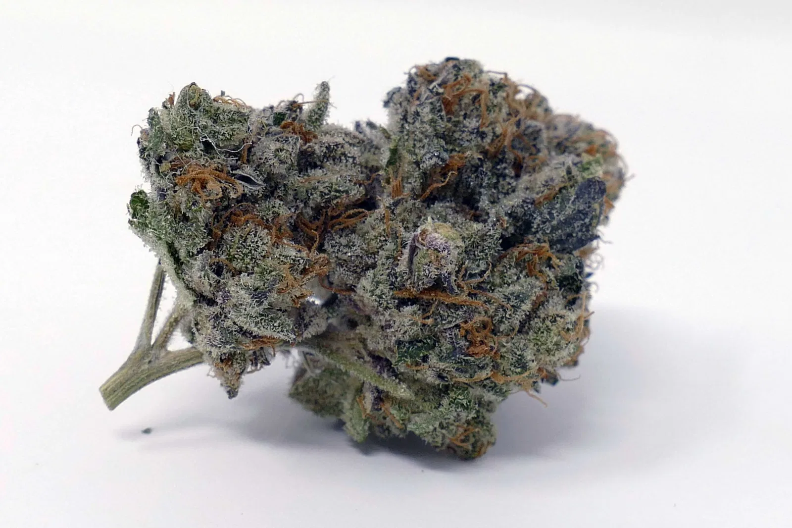 Sour Power OG cannabis flower from the original UK review archive.