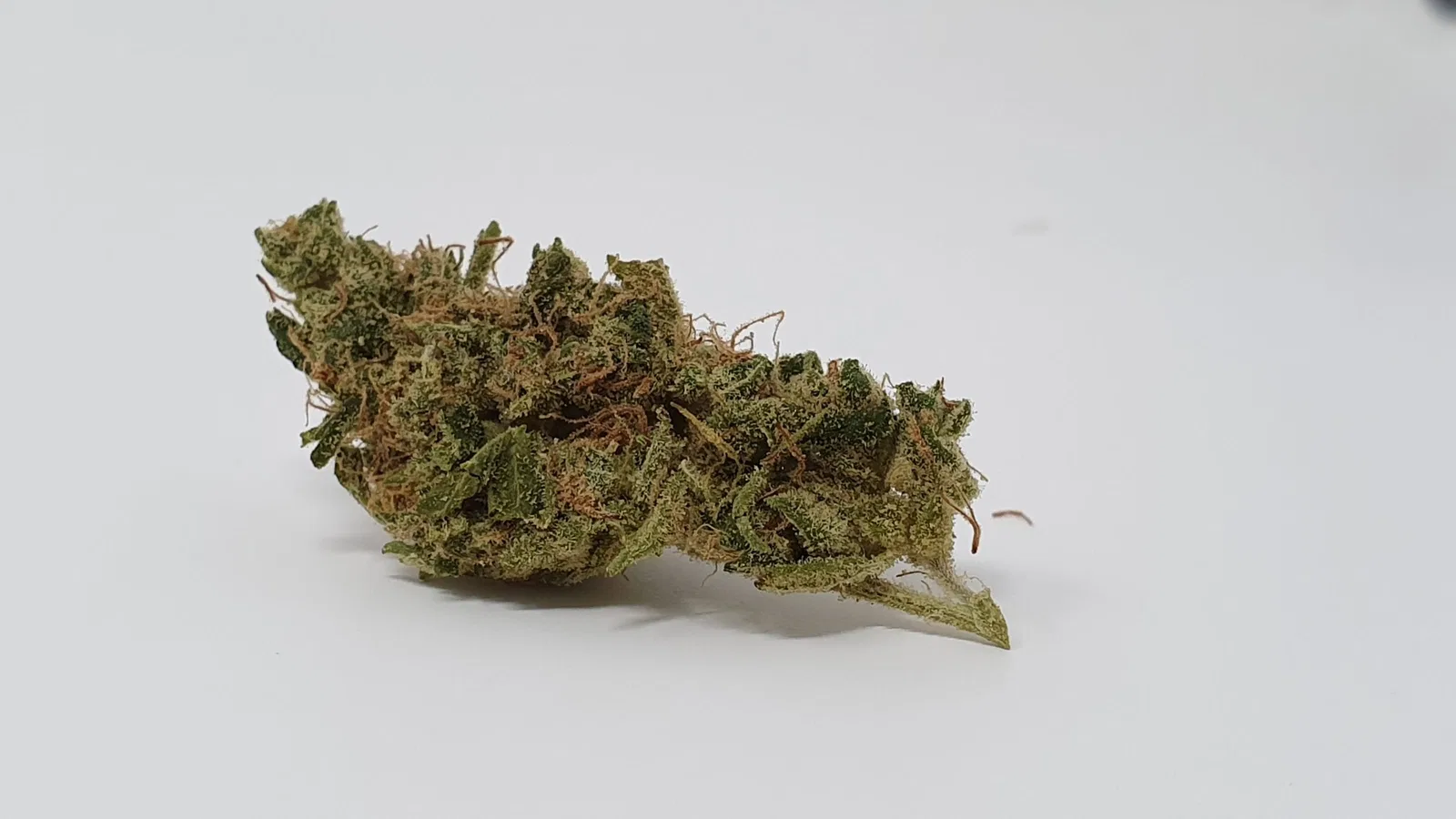 Sour Tangie cannabis flower from the original UK review archive.