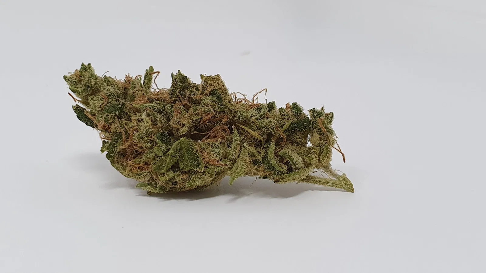 Sour Tangie cannabis flower from the original UK review archive.