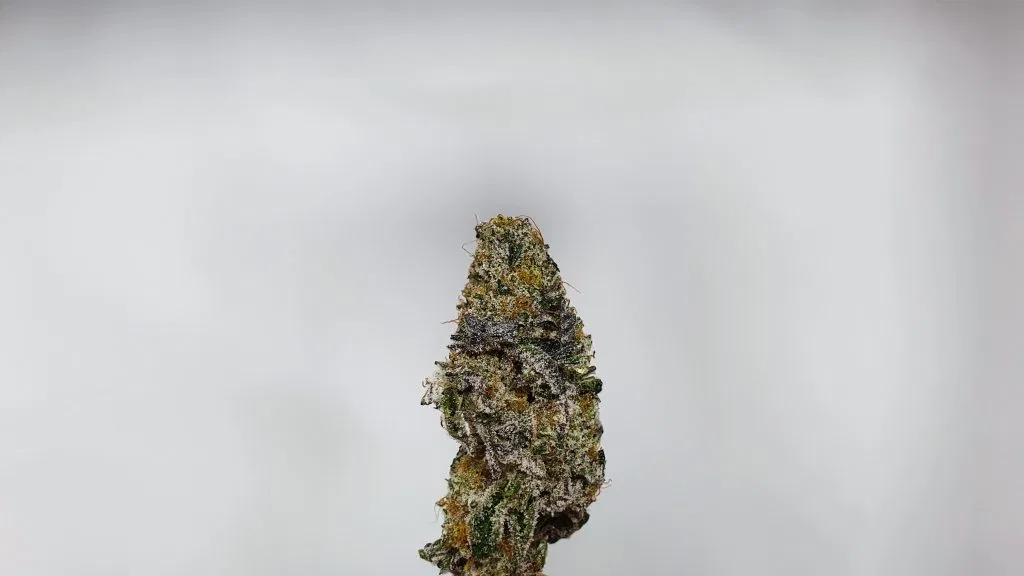 Space Jam cannabis flower from the original UK review archive.