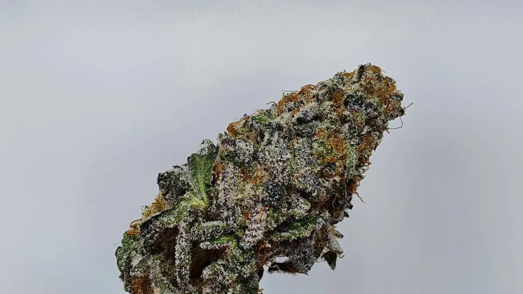 Space Jam cannabis flower from the original UK review archive.