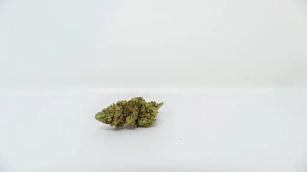 SSFVTK cannabis flower from the original UK review archive.
