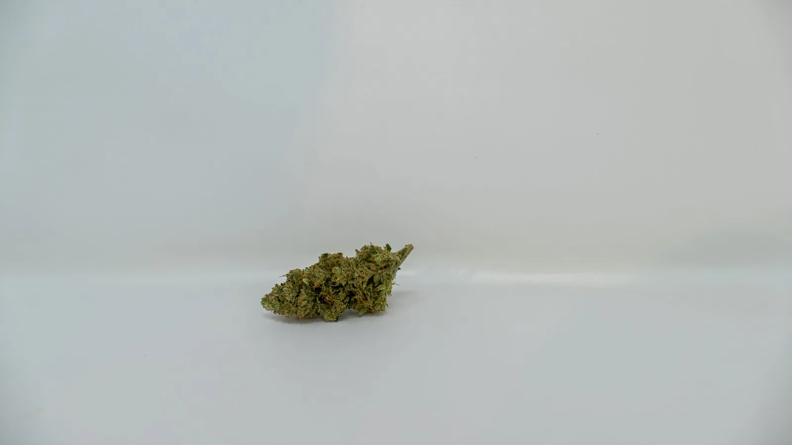 SSFVTK cannabis flower from the original UK review archive.