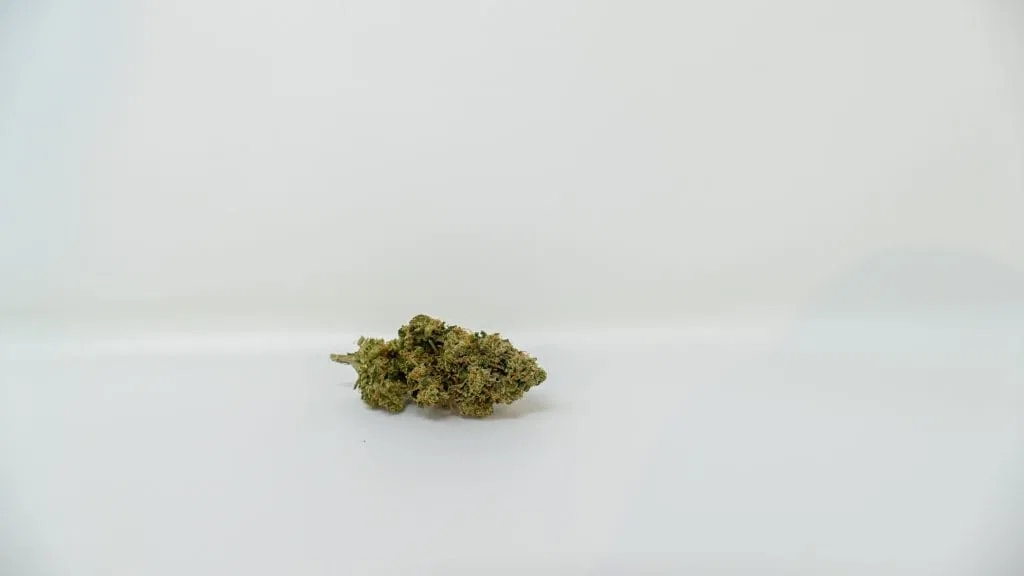 SSFVTK cannabis flower from the original UK review archive.