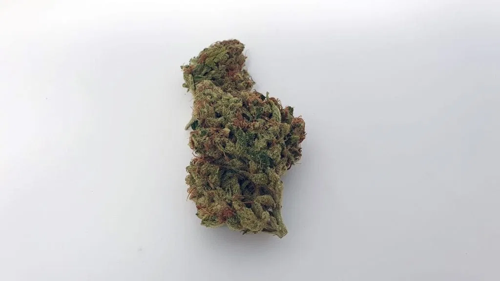 SSSDH cannabis flower from the original UK review archive.