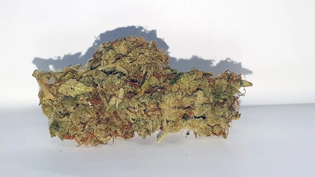 SSSDH cannabis flower from the original UK review archive.