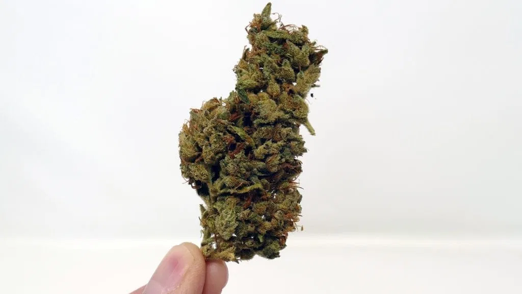 SSSDH cannabis flower from the original UK review archive.