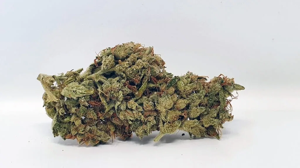 SSSDH cannabis flower from the original UK review archive.