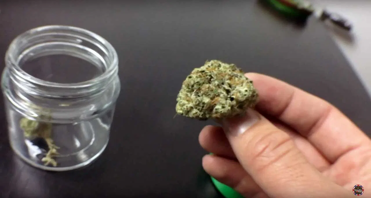 Stardawg