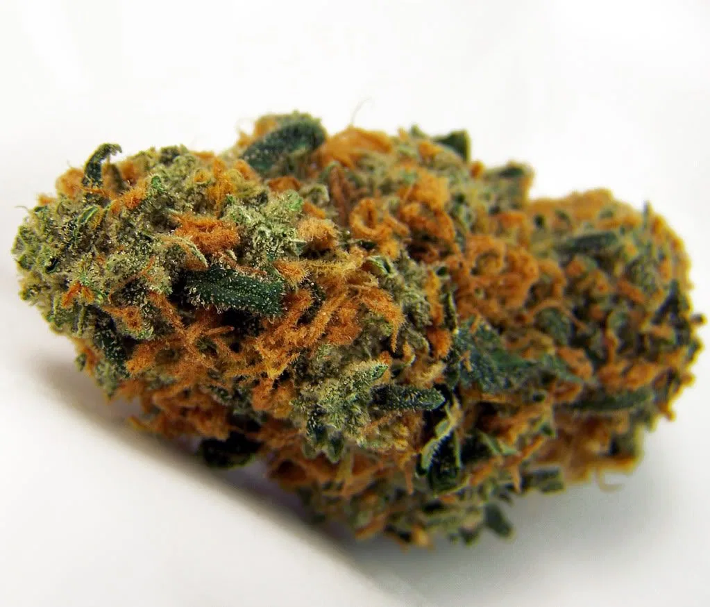 Strawberry Cheese cannabis flower, shown as a similar-cultivar reference for Platinum Punch; not Platinum Punch