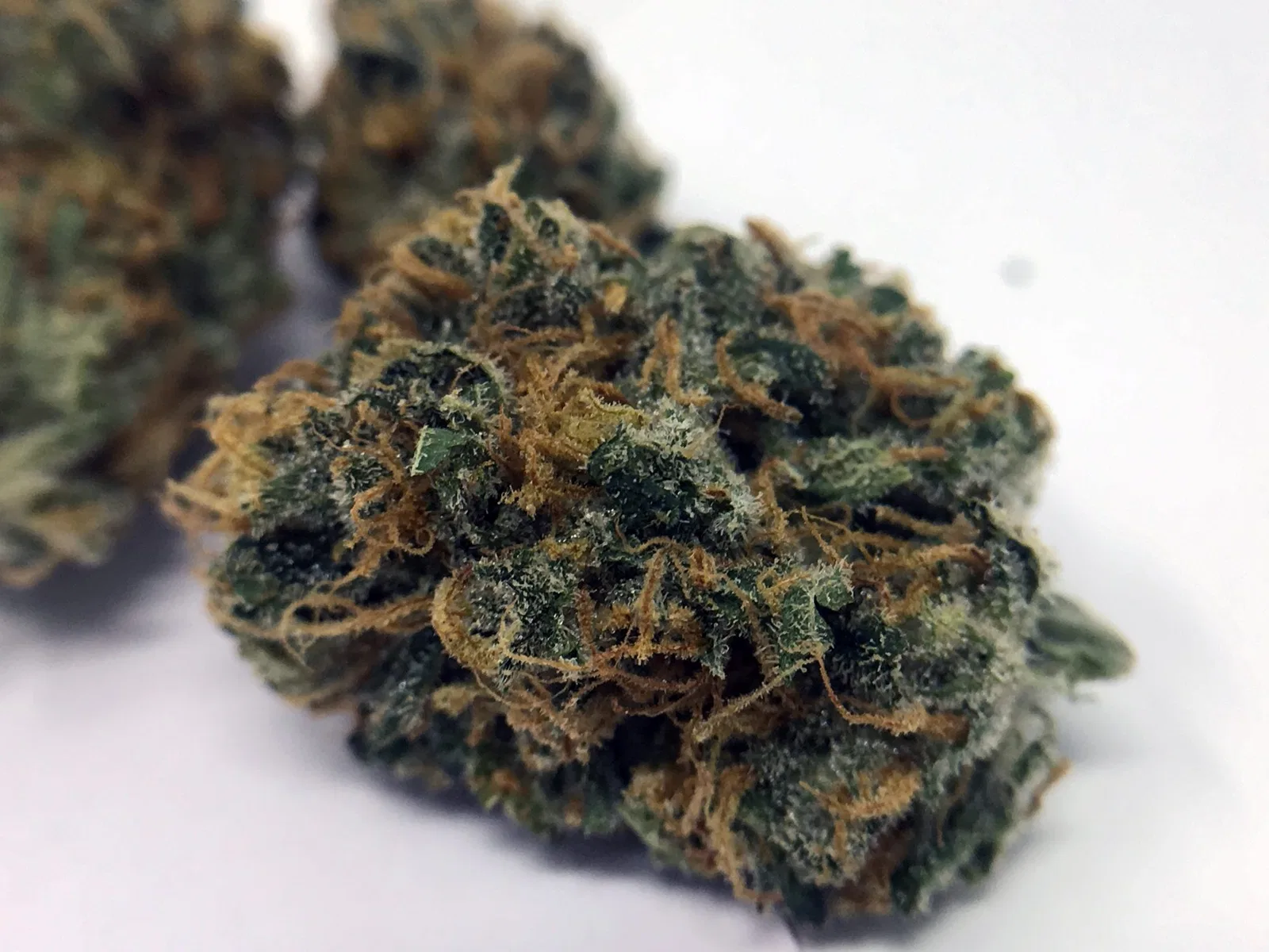 Strawberry Cough cannabis flower, shown as a similar-cultivar reference for Trainwreck; not Trainwreck