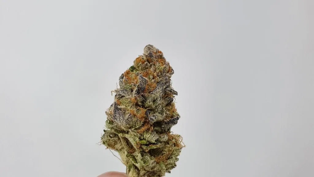 Strawpicanna