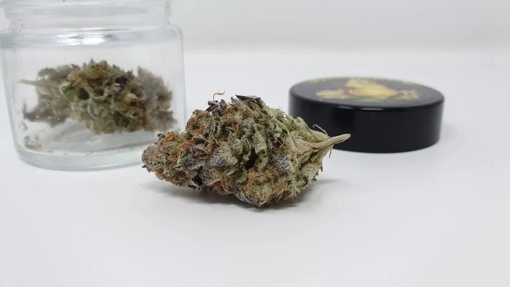Strawpicanna cannabis flower from the original UK review archive.