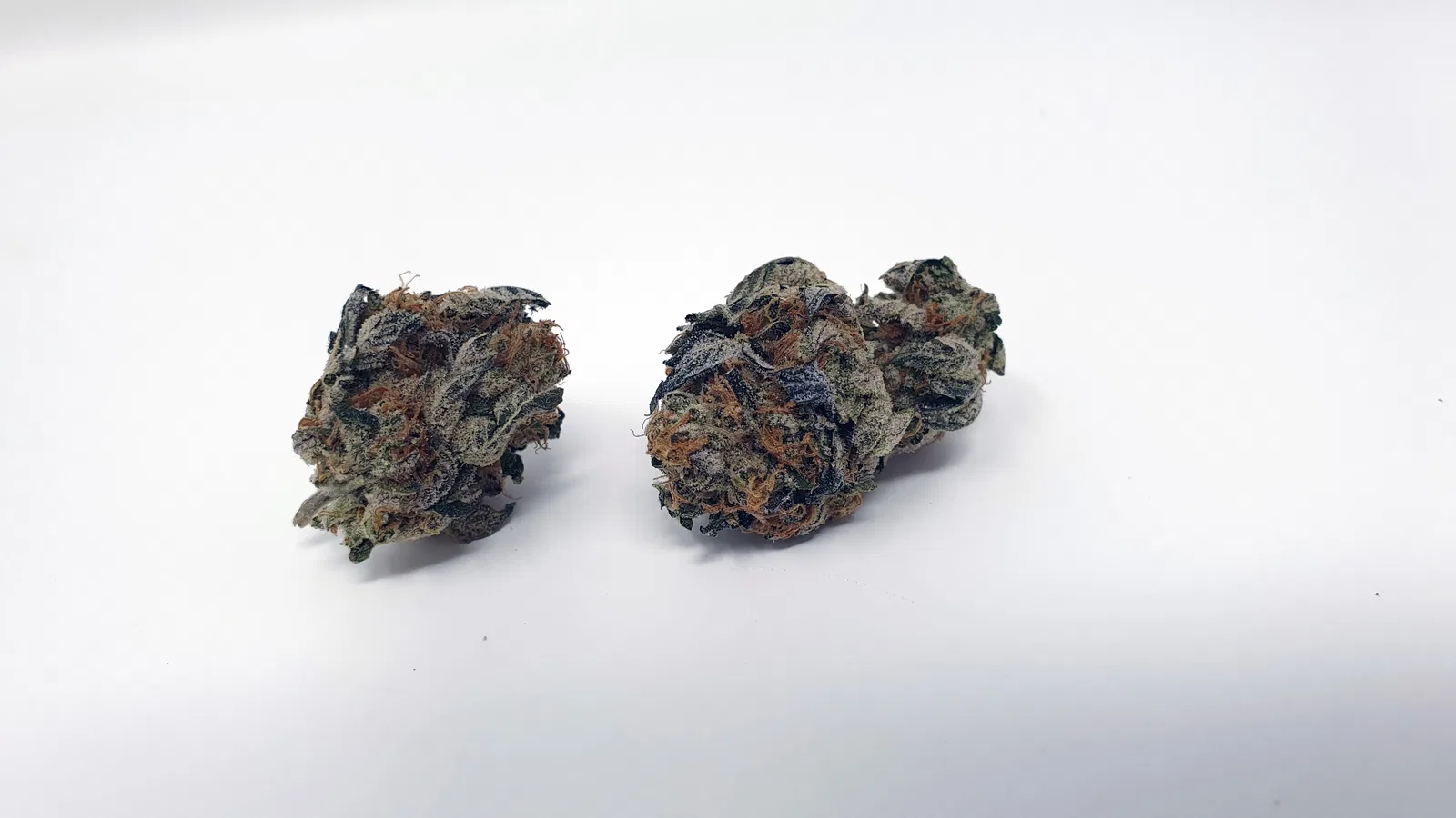 Sunset Sherbet