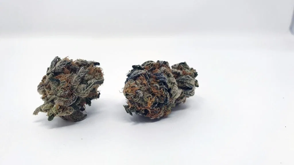 Sunset Sherbet cannabis flower from the original UK review archive.