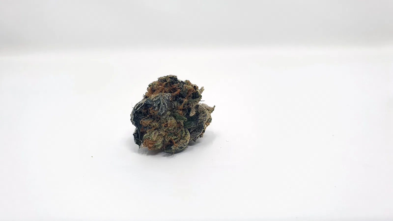 Sunset Sherbet cannabis flower from the original UK review archive.
