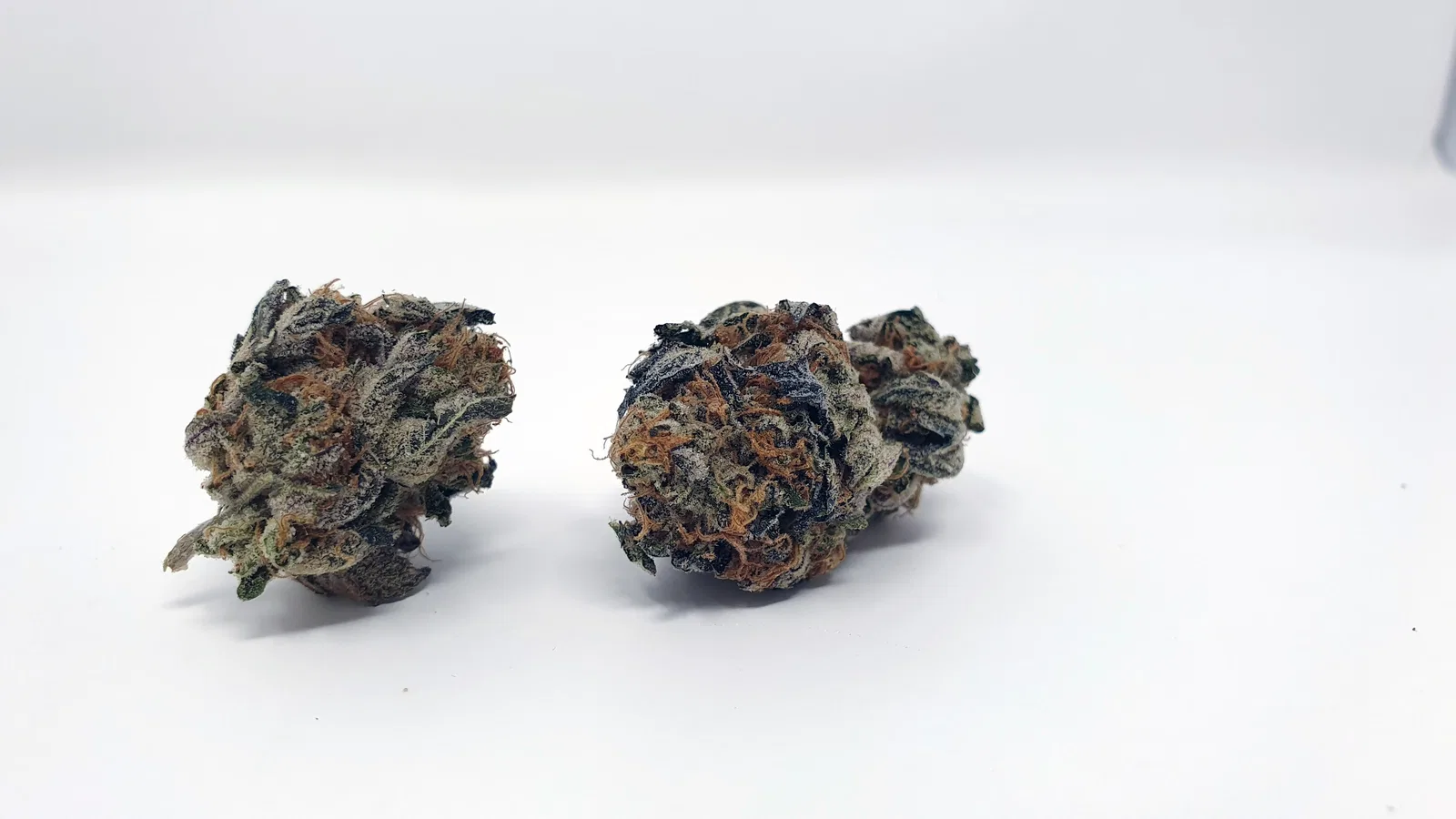 Sunset Sherbet cannabis flower from the original UK review archive.