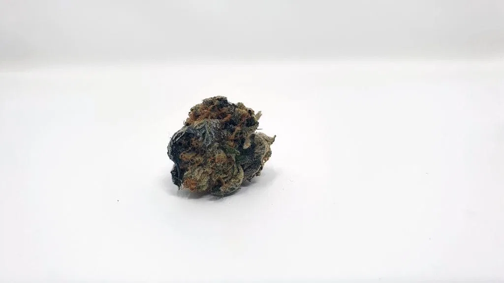 Sunset Sherbet cannabis flower from the original UK review archive.