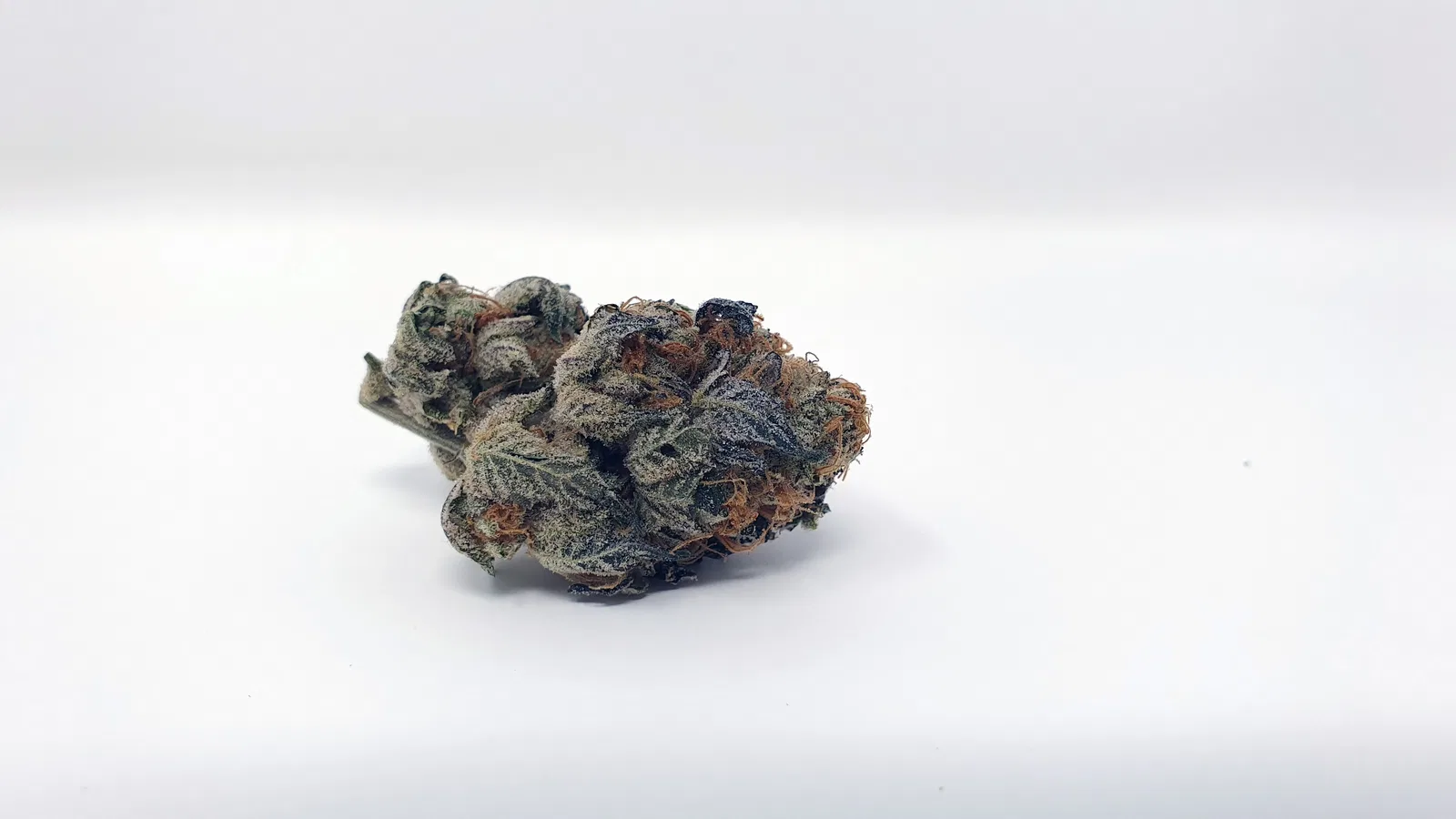 Sunset Sherbet cannabis flower from the original UK review archive.
