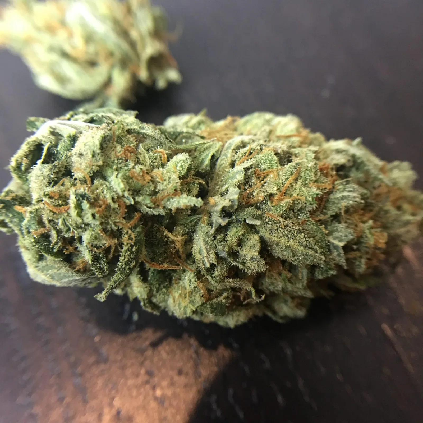 Super Lemon Haze cannabis flower, shown as a similar-cultivar reference for Lemon Skunk; not Lemon Skunk