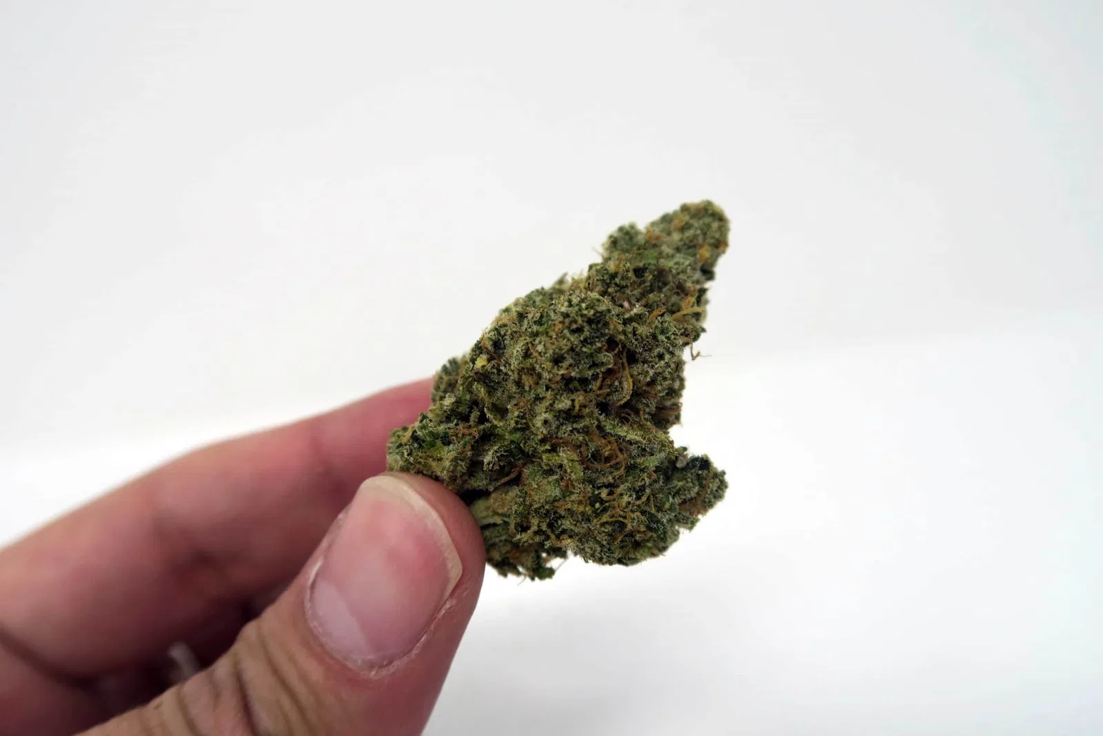 Super Orange Glue cannabis flower from the original UK review archive.