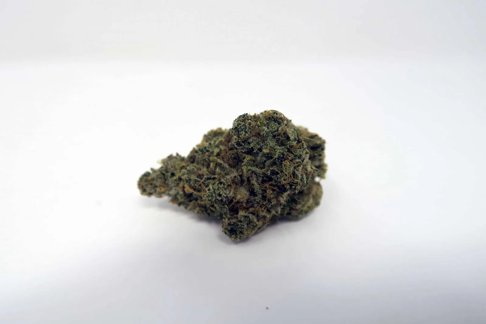 Super Orange Glue cannabis flower, shown as a similar-cultivar reference for Frosted Guava; not Frosted Guava