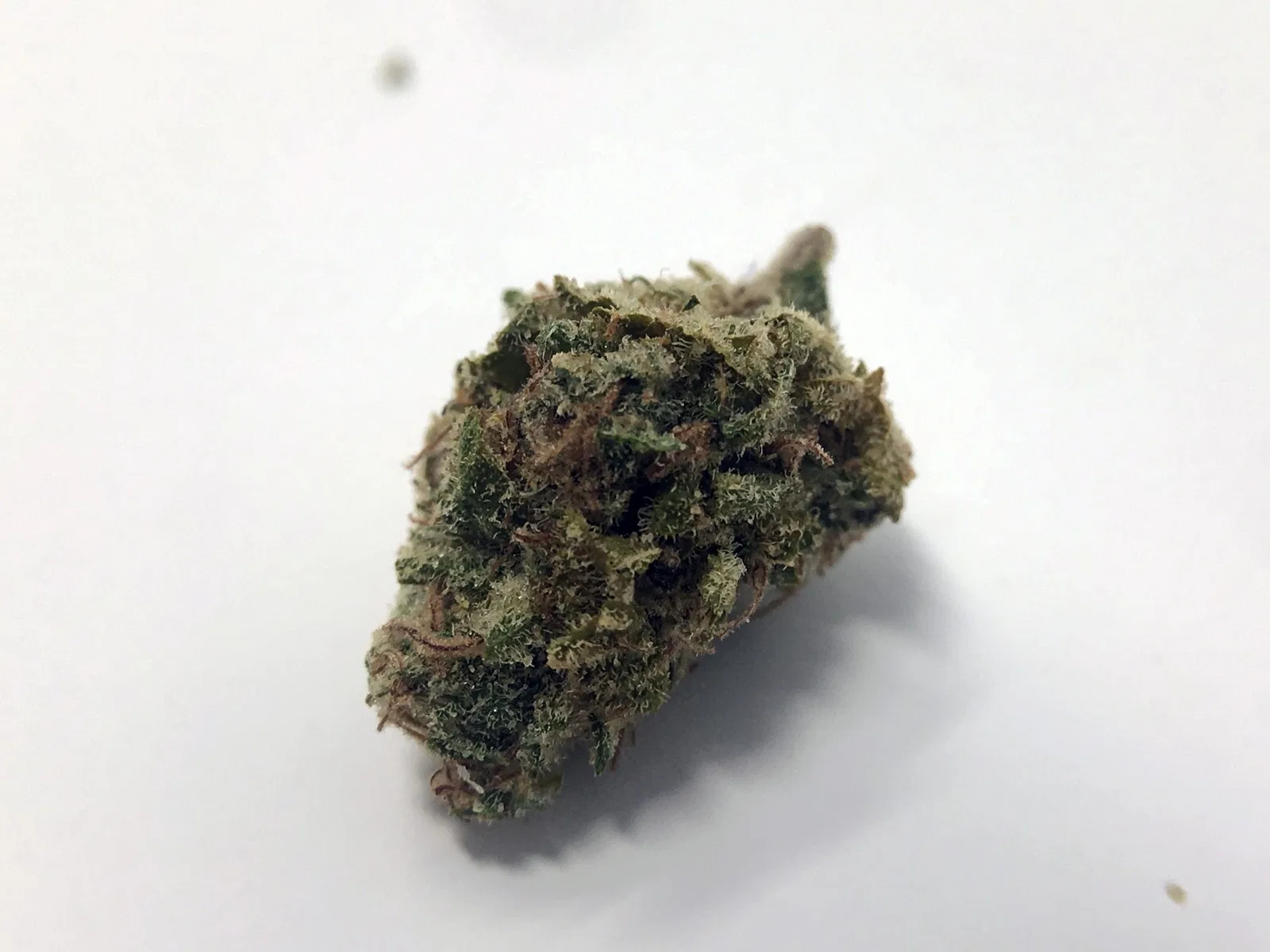 Tahoe OG cannabis flower from the original UK review archive.