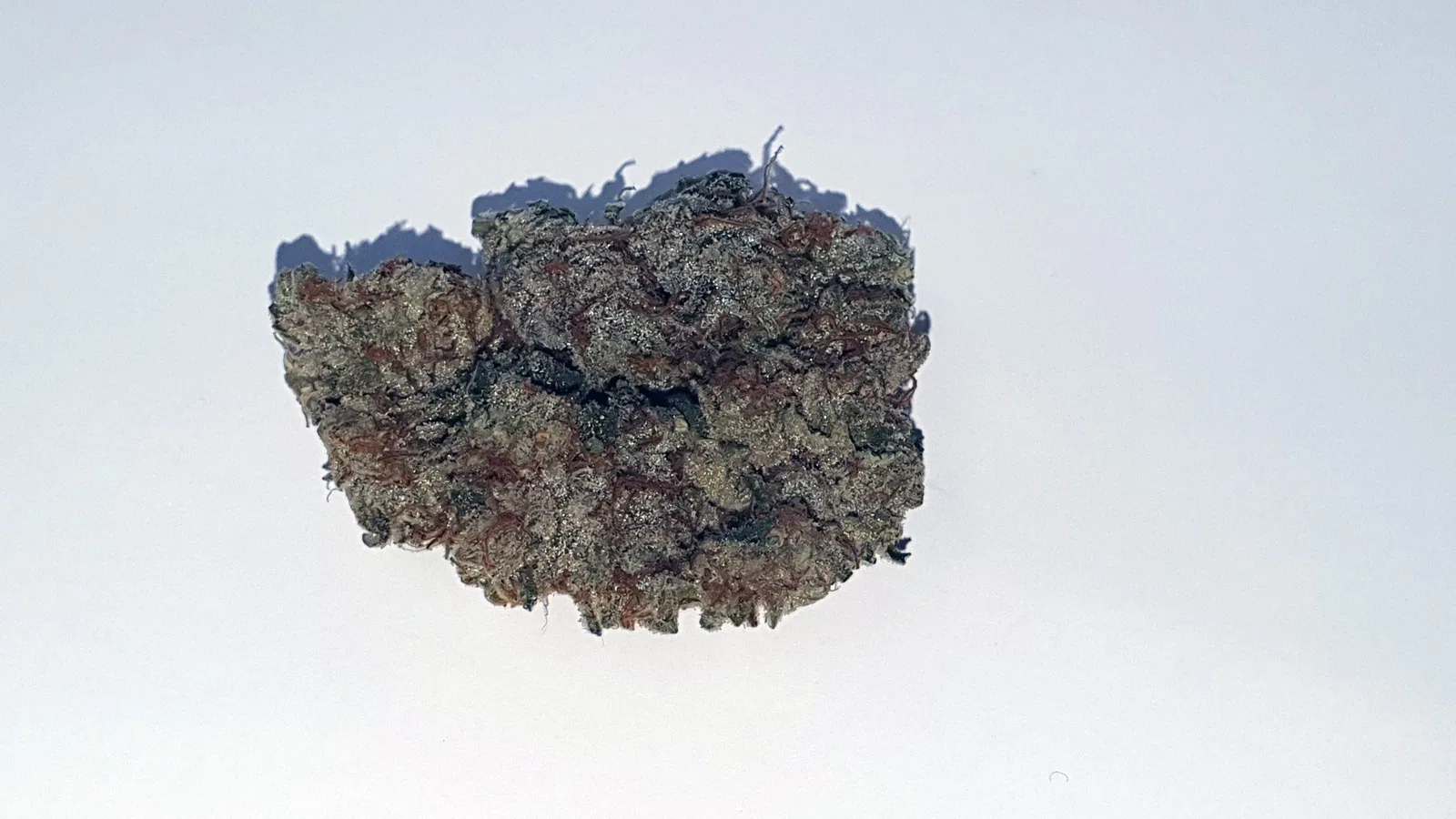 Tropic Heat cannabis flower from the original UK review archive.