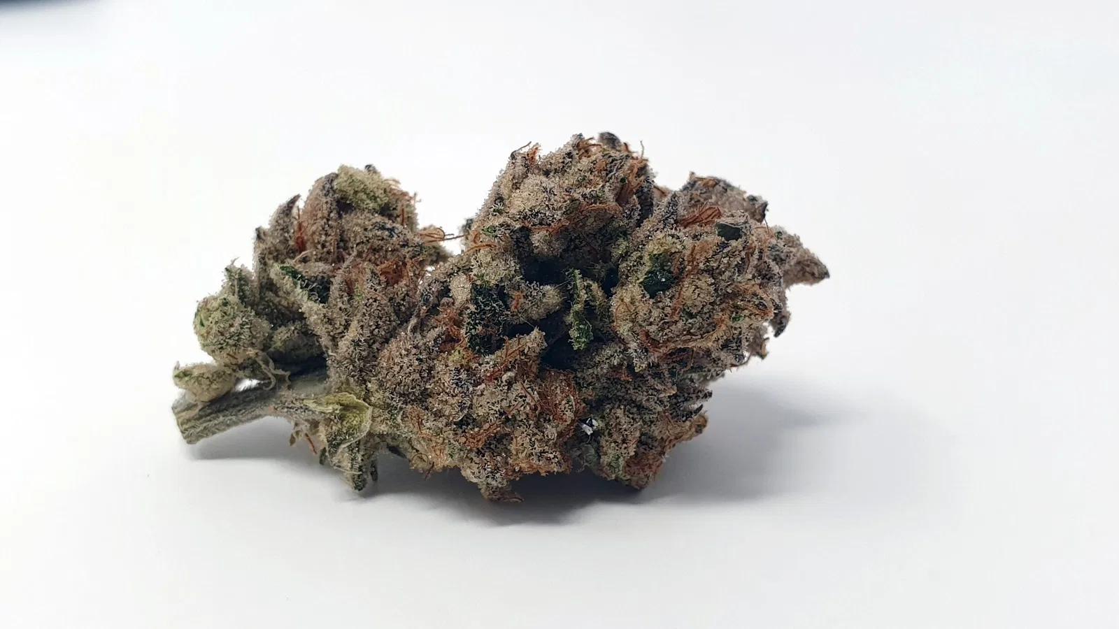 Tropic Heat cannabis flower, shown as a similar-cultivar reference for Electric Honeydew; not Electric Honeydew