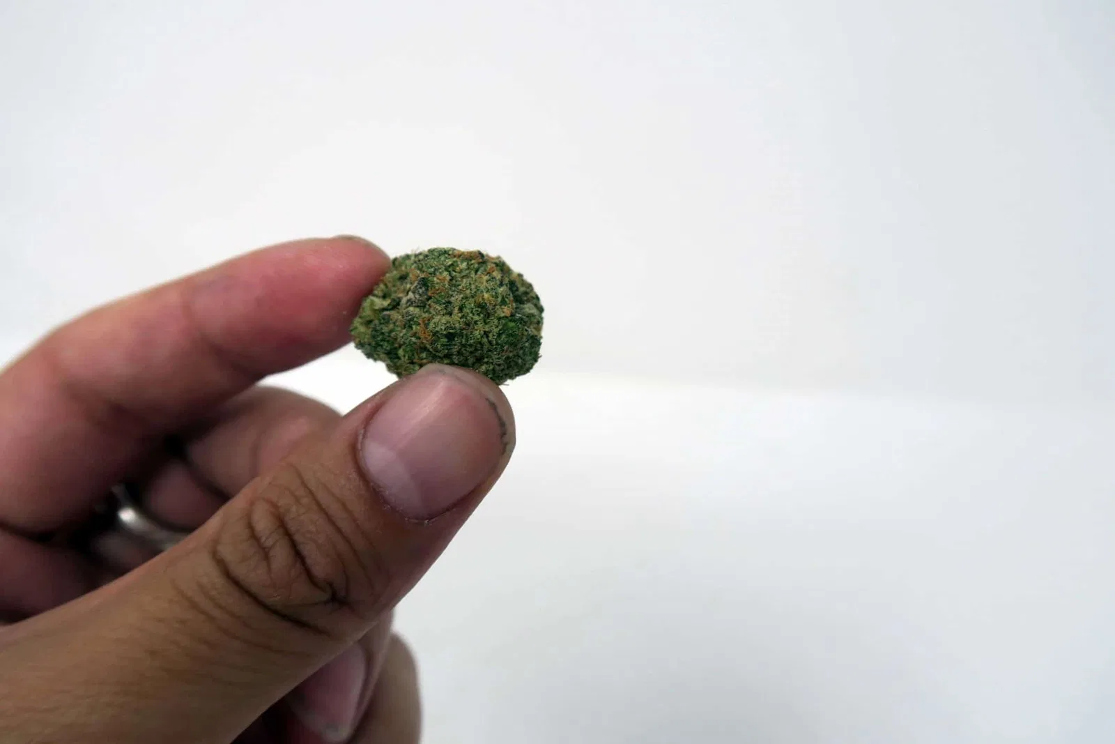 Wedding Cake cannabis flower from the original UK review archive.