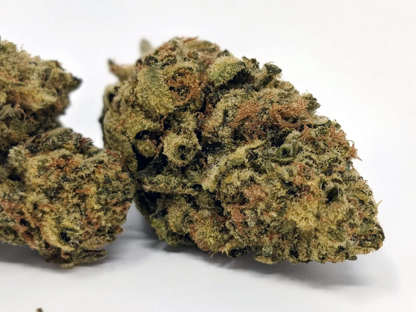 Wedding Cake cannabis flower from the original UK review archive.