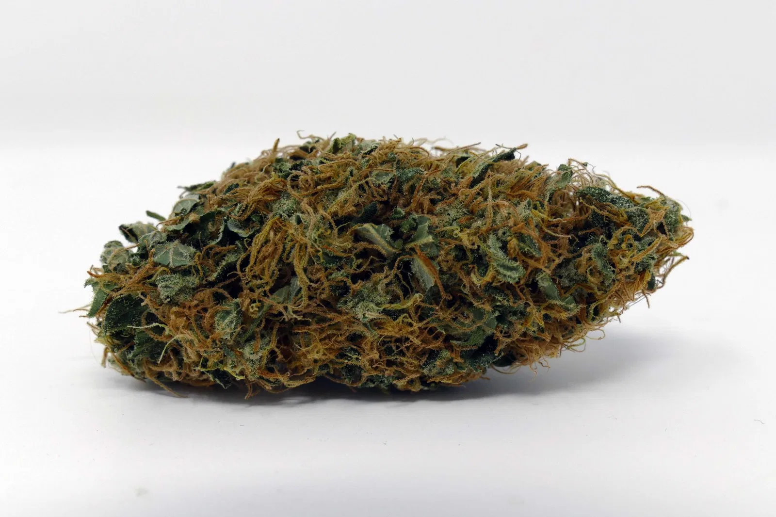 White Widow