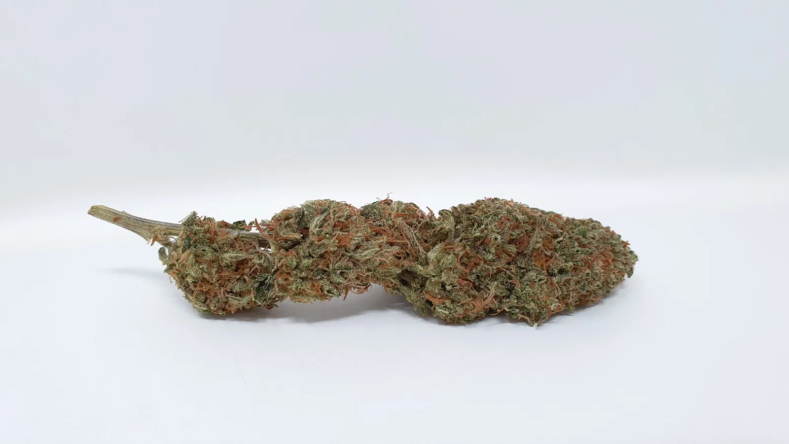 Yuzu Kush cannabis flower from the original UK review archive.
