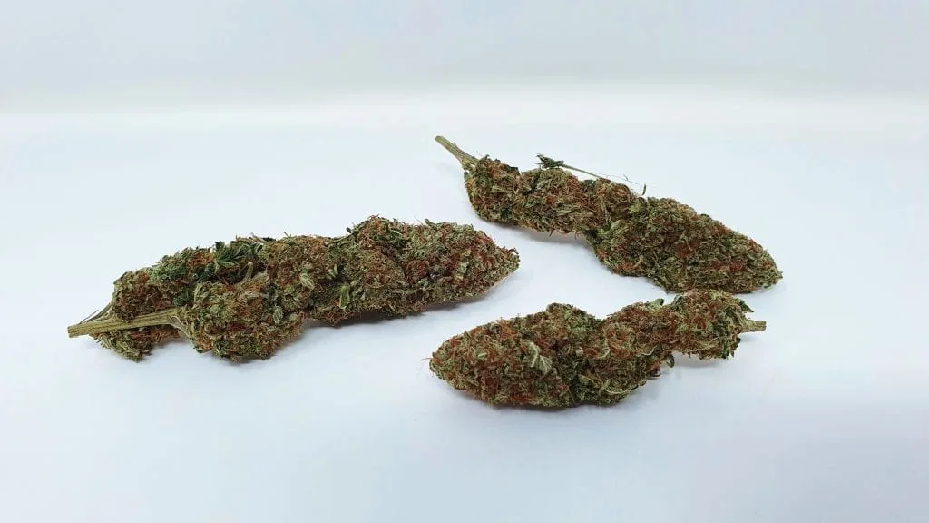 Yuzu Kush cannabis flower from the original UK review archive.
