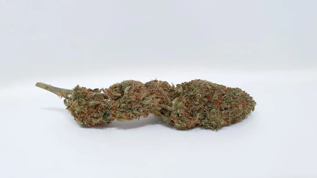 Yuzu Kush cannabis flower from the original UK review archive.