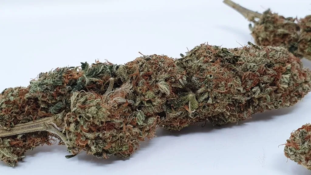 Yuzu Kush cannabis flower from the original UK review archive.