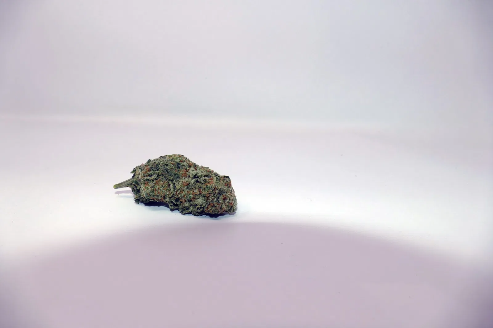 Zed cannabis flower from the original UK review archive.