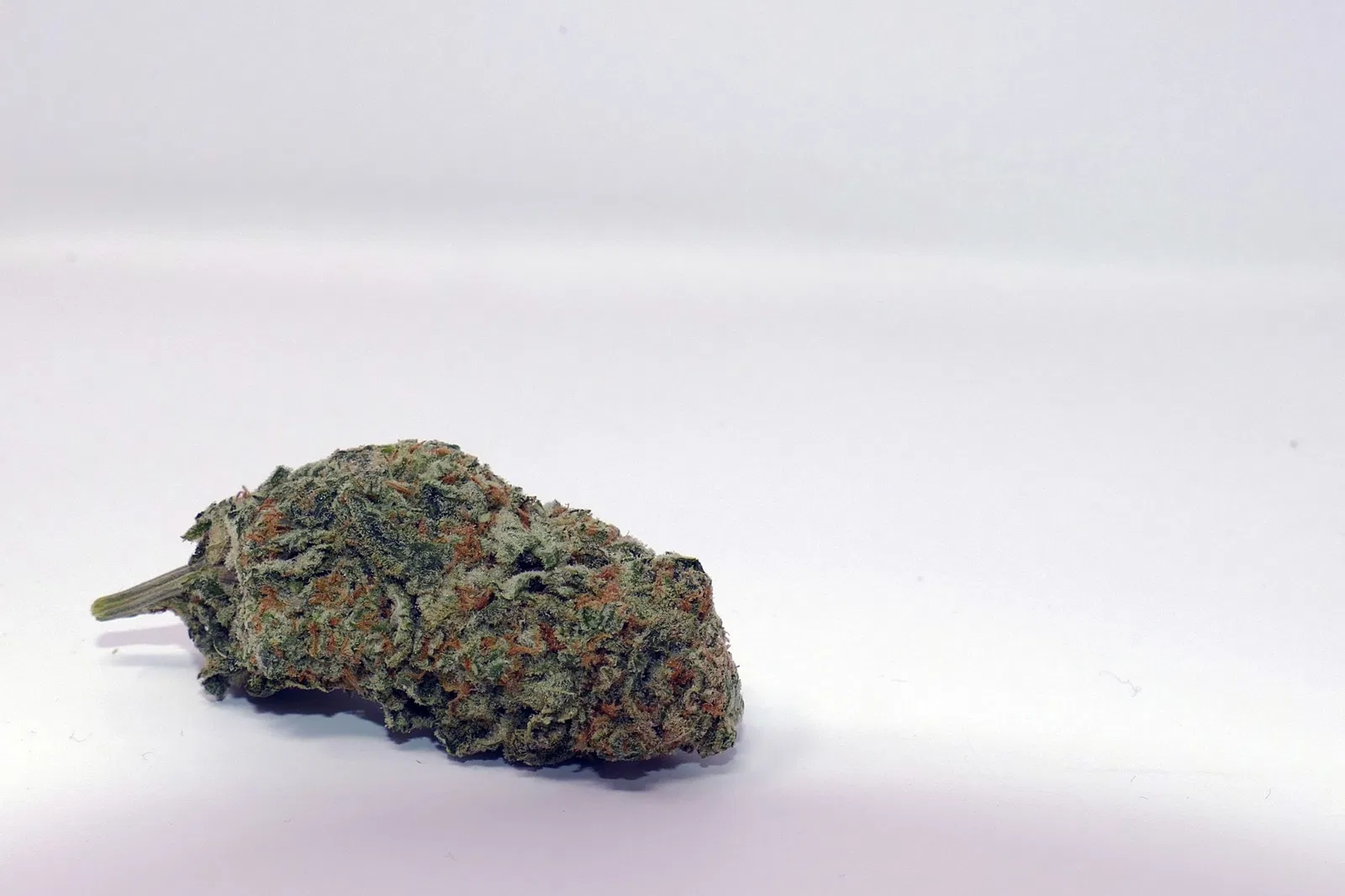 Zed cannabis flower from the original UK review archive.