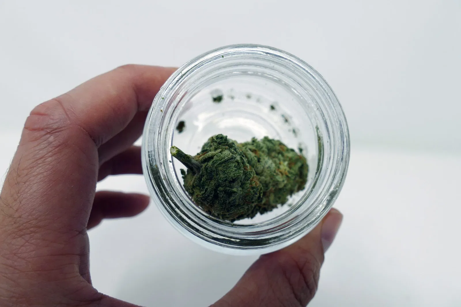 Zed cannabis flower from the original UK review archive.