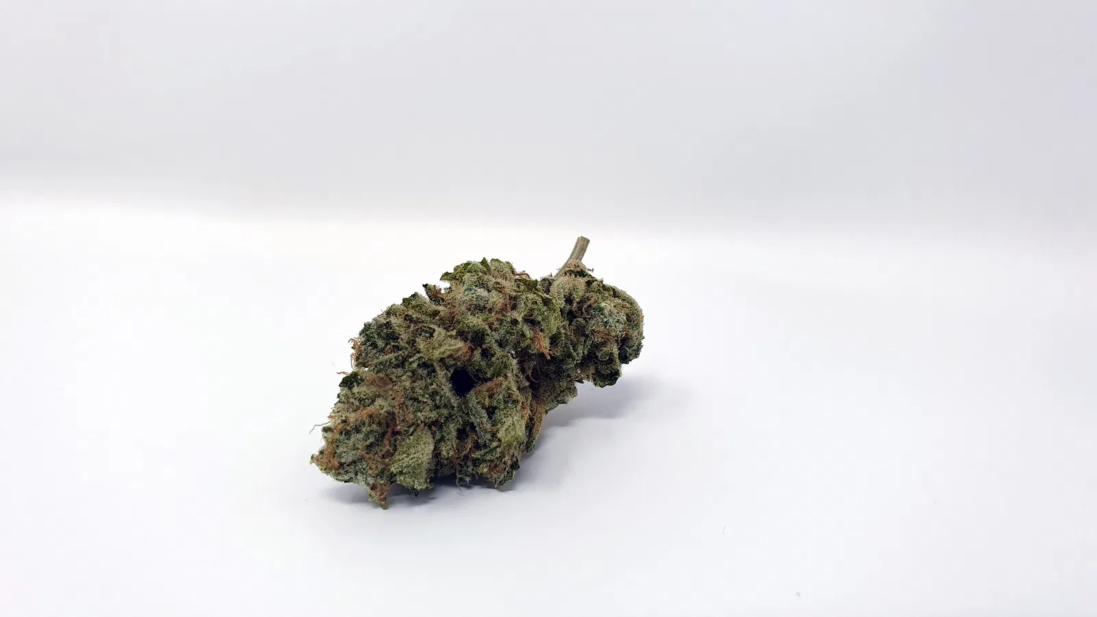 ZkittleZ